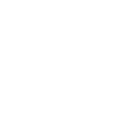 copy of stafyl logo